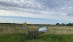 Gestage groei Munisense grondwatermeetpunten in Nederland