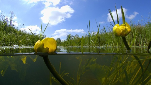 Measuring water quality